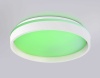 Потолочный светодиодный светильник Ambrella light Orbital Dance FZ601