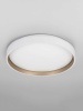 Светильник потолочный Citilux ENZO CL753450G