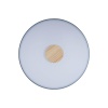 Потолочный светодиодный светильник Loft IT Axel 10003/24 grey