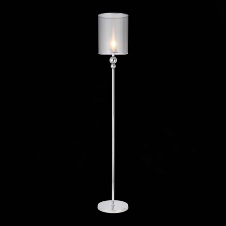 Торшер Evoluce Pazione SLE107105-01