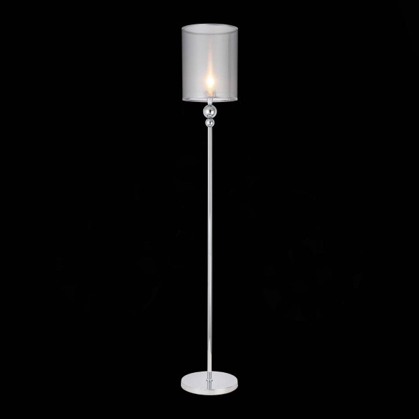 Торшер Evoluce Pazione SLE107105-01