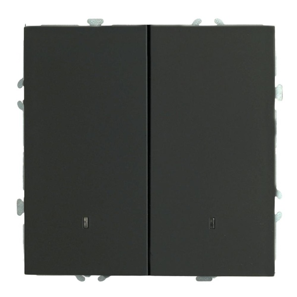 Выключатель 2-клавишный c индикатором (механизм), STEKKER, 250В, 10А, серия Эмили, RSW10-5102-05, черный уголь, soft touch 49838