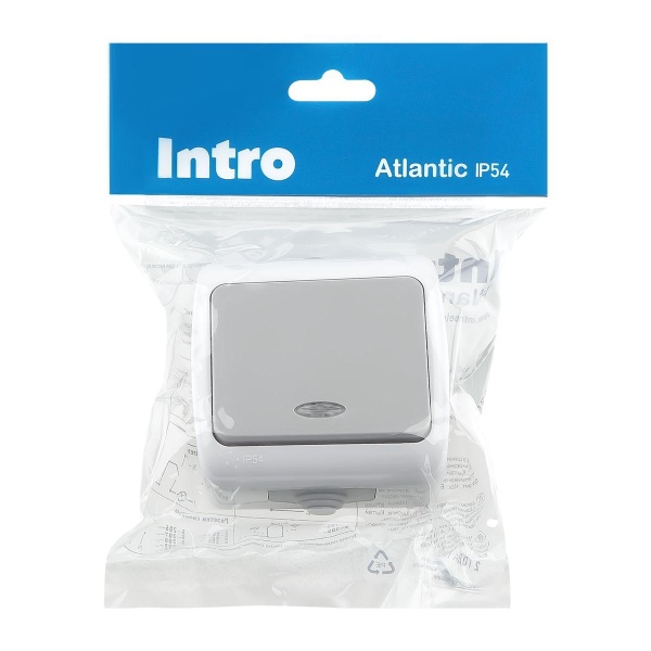 Выключатель одноклавишный ЭРА Intro Atlantic 10AX 250V с подсветкой 5-102-03 Б0050941 Выключатель одноклавишный ЭРА Intro Atlantic 10AX 250V с подсветкой 5-102-03 Б0050941