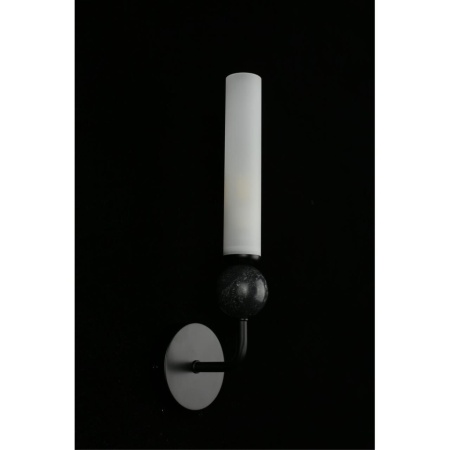 Светильник настенный Aployt Gienia APL.339.01.01