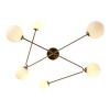 Потолочная люстра Evoluce FANTINI SLE2211-302-06