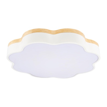 Потолочный светодиодный светильник Loft IT Axel 10225/36 White