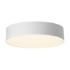 Светильник потолочный Citilux BART CL755290