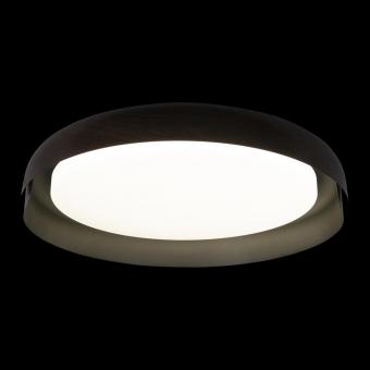 Потолочный светодиодный светильник Loft IT Coin 10198 Black