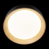 Потолочный светодиодный светильник Loft IT Coin 10202 Black