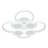 Потолочная светодиодная люстра Escada Castor 10232/8LED