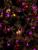 Светодиодная гирлянда Uniel Сакура 220V розовый ULD-S0700-050/DTA PINK IP20 PINK SAKURA 07933