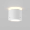 Потолочный светильник Maytoni Technical C120CL-GX53-W