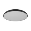 Потолочный светильник LOFT IT Dime 10371 Black