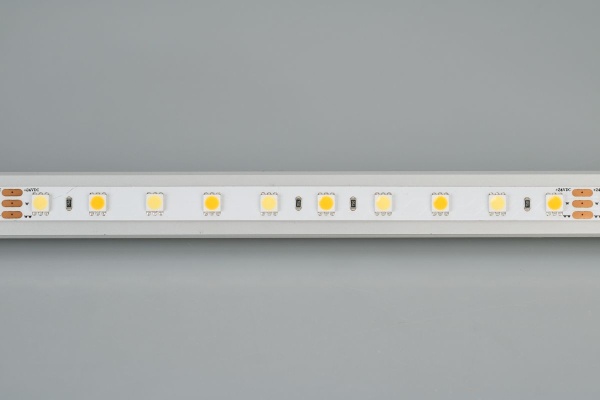 Светодиодная лента Arlight 14,4W/m 60LED/m 5060SMD холодный/теплый белый 5M RT-B60-10mm 24V White-MIX 025213(1)
