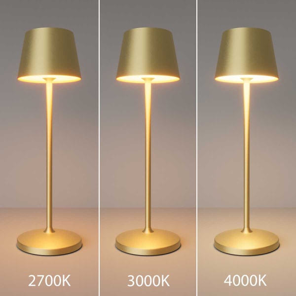 Настольная аккумуляторная лампа Maytoni Modern Nook MOD494RL-L1BSK