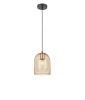Подвесной светильник Vele Luce Diodor VL6404P01