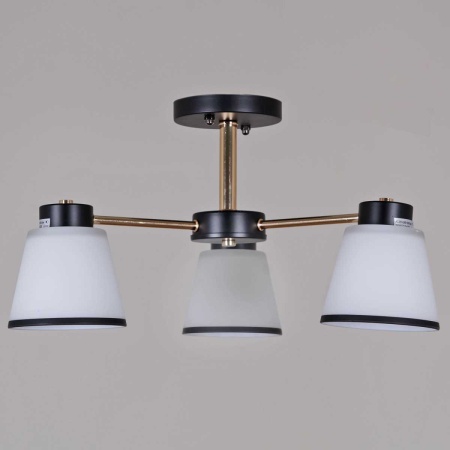 Потолочная люстра Reluce 30560-0.3-03 BK+FG