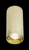 Потолочный светильник Maytoni Technical Focus C010CL-01G