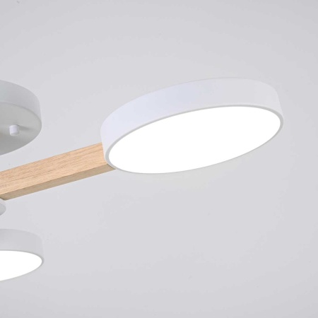 Потолочная люстра Imperium Loft Turna 102157-26