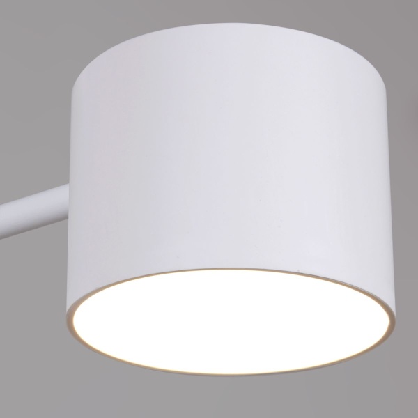 Потолочная люстра Reluce 47206-0.3-08WT