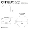 Потолочный светильник Citilux Axel CL512115
