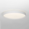 Потолочный светодиодный светильник Citilux Boss CL751450G