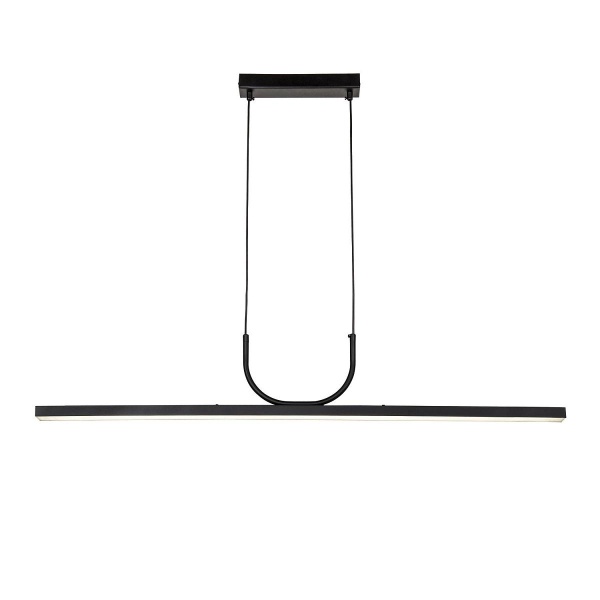 Подвесная светодиодная люстра Favourite Raya 4096-2P