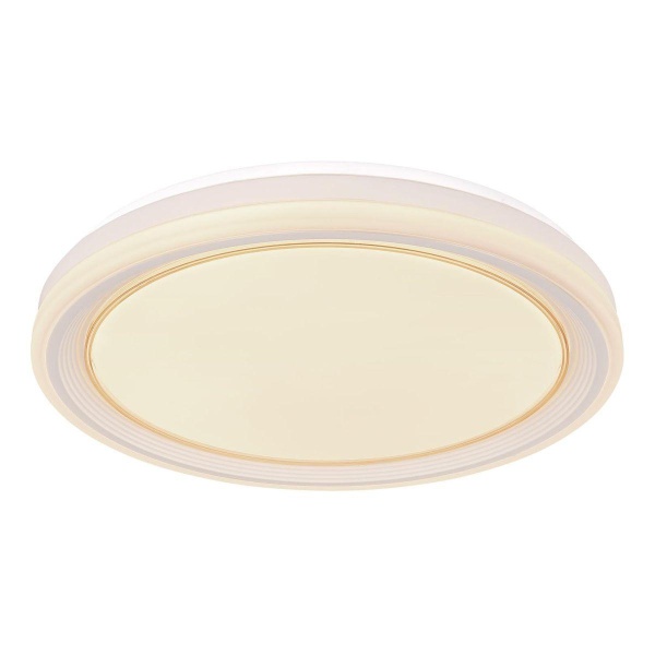 Потолочный светодиодный светильник Globo Tebby 48274-40