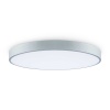 Потолочный светильник Freya Сприда / Sprida FR6129CL-L80GR