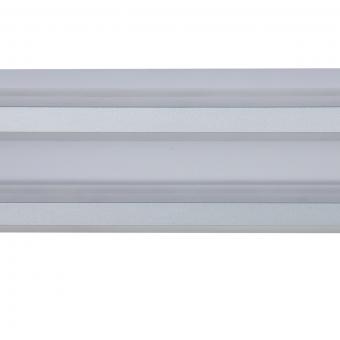Потолочный светодиодный светильник Indigo Arena 14009/A/1CW Silver V000056L