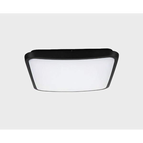 Уличный потолочный светильник Italline IT6012