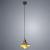 Подвесной светильник Arte Lamp A5067SP-1GY