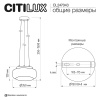 Светильник Citilux SIGNATURE CL247043