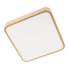 Потолочный светодиодный светильник Loft IT Flims 10228/C