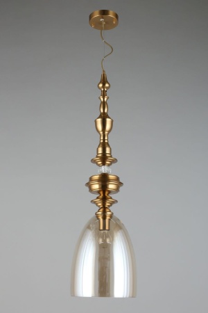 Подвесной светильник Aployt Rena APL.602.06.01