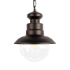 Уличный подвесной светильник Loft IT Piemonte 100022P