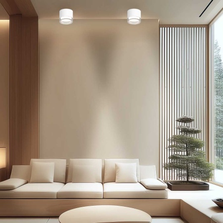 Потолочный светильник Apeyron Shine 16-122