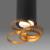Потолочный светильник Elektrostandard DLN102 GU10 черный/золото 4690389148774