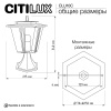 Уличный светильник Citilux Forts CLU10C