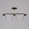Потолочная люстра Reluce 11630-0.3-03 BK+WOOD