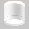 Потолочный светильник Maytoni Technical C120CL-GX53-W