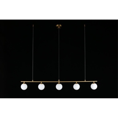 Подвесная люстра Aployt Sylwia APL.634.13.05