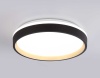 Потолочный светодиодный светильник Ambrella light Orbital Dance FZ604