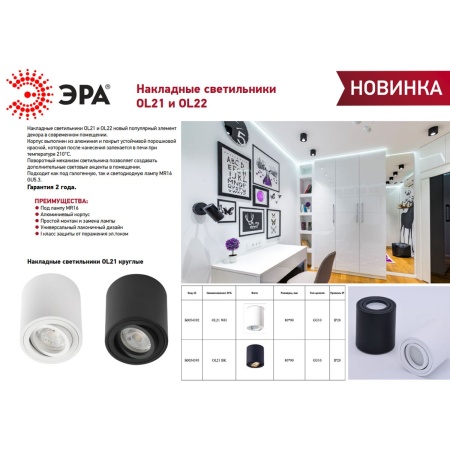 Накладной светильник ЭРА OL21 BK Б0054393