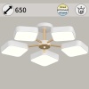 Светильник потолочный Reluce 03360-0.3-05 WH+FGD