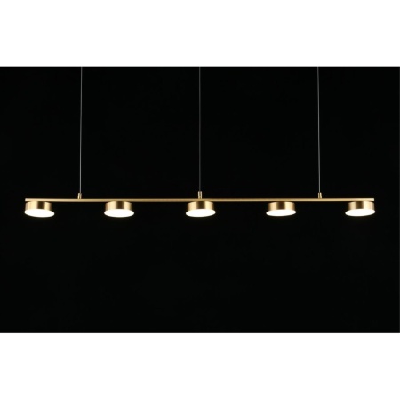 Подвесная светодиодная люстра Aployt Usia APL.047.13.35