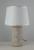 Настольная лампа Arti Lampadari Dairago E 4.1.T2 GY