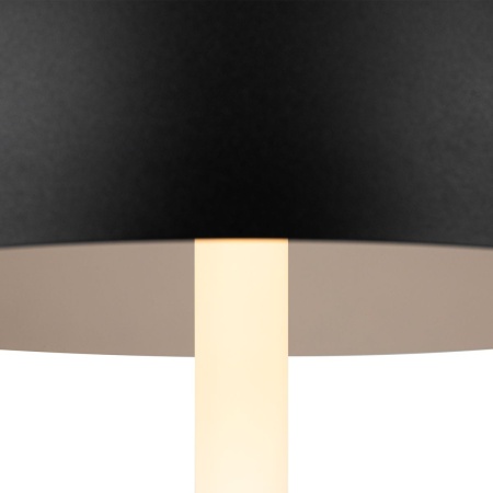 Настольная лампа Maytoni Ray Z012TL-L8B3K