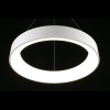 Подвесной светодиодный светильник Aployt Michell APL.052.03.60