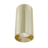 Потолочный светильник Maytoni Technical Focus C010CL-01G